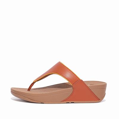 Fitflop Lulu Pop Binding Toe-Post - Sandalen Damen - Braun (GRE024193)